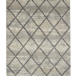Nourison Oslo Shag OSL01 Silver Grey Area Rug