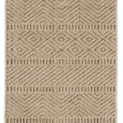 Nourison Paxton PAX06 Mocha Area Rug