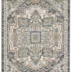 Nourison Parisa PSA01 Grey Sage Area Rug