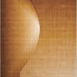 Nourison Radiant Arts RA01 Amber Area Rug