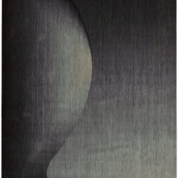 Nourison Radiant Arts RA01 Onyx Area Rug