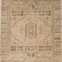Nourison Silk Elements SKE13 Beige Area Rug