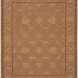 Nourison Silk Pointe SKP1 Brown Area Rug