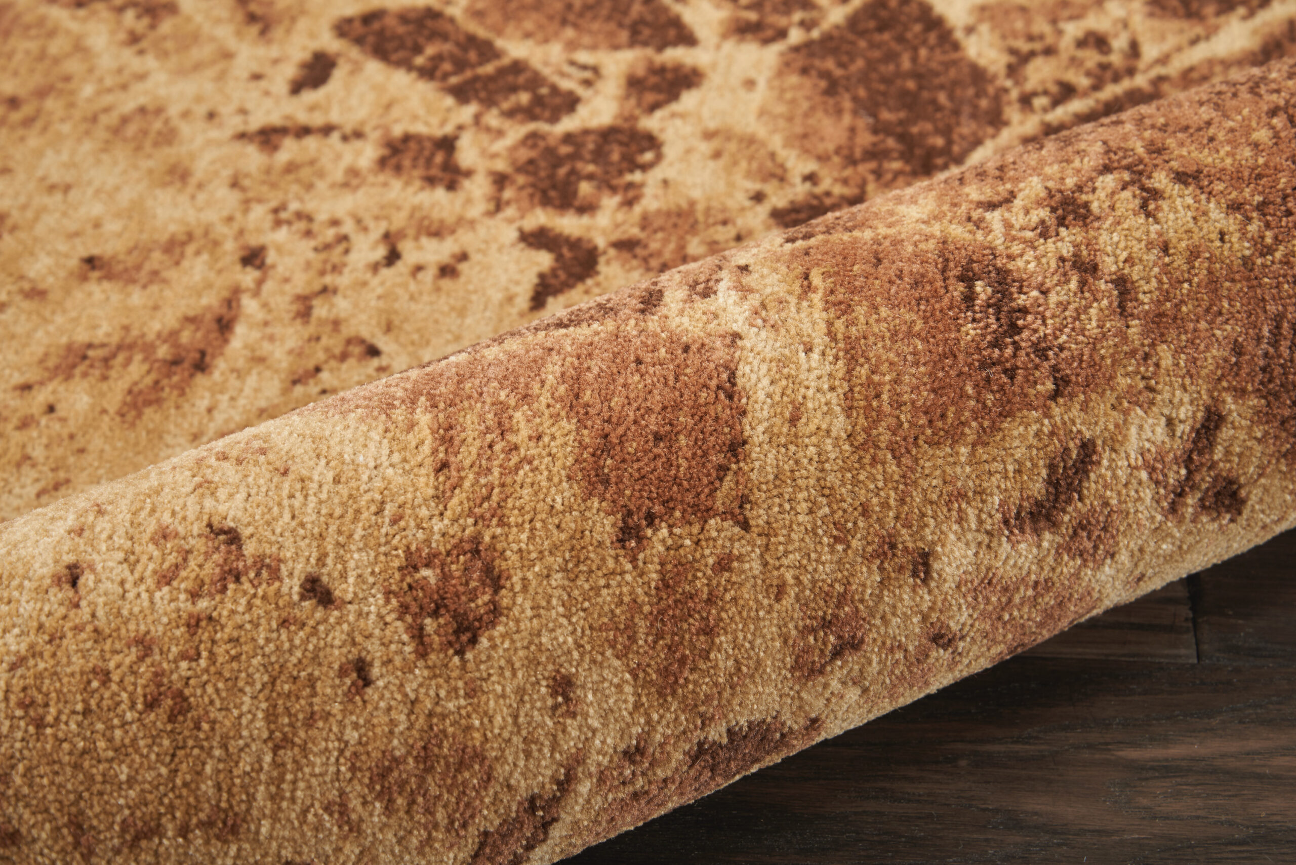 Nourison Somerset ST745 Latte Area Rug - Image 2