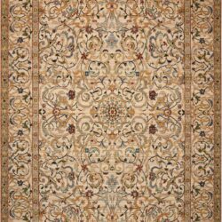 Nourison Timeless TML16 Copper Area Rug