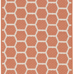 Nourison Twist Reversible TWS01 Coral Area Rug