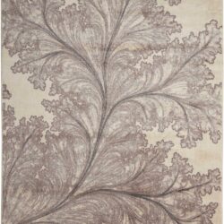 Nourison Utopia UTP04 Ivory Area Rug