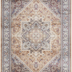 Nourison Vintage Home VNH01 Gold Area Rug