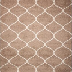 Nourison Windsor WIN01 Cappuccino Area Rug