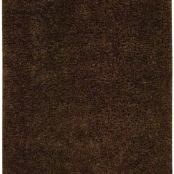 Nourison Zen ZEN01 Espresso Area Rug