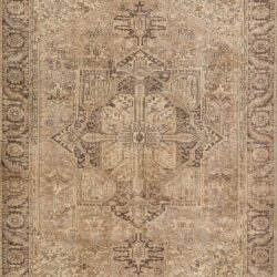 Momeni Ariana ARI-3 Brown Area Rug