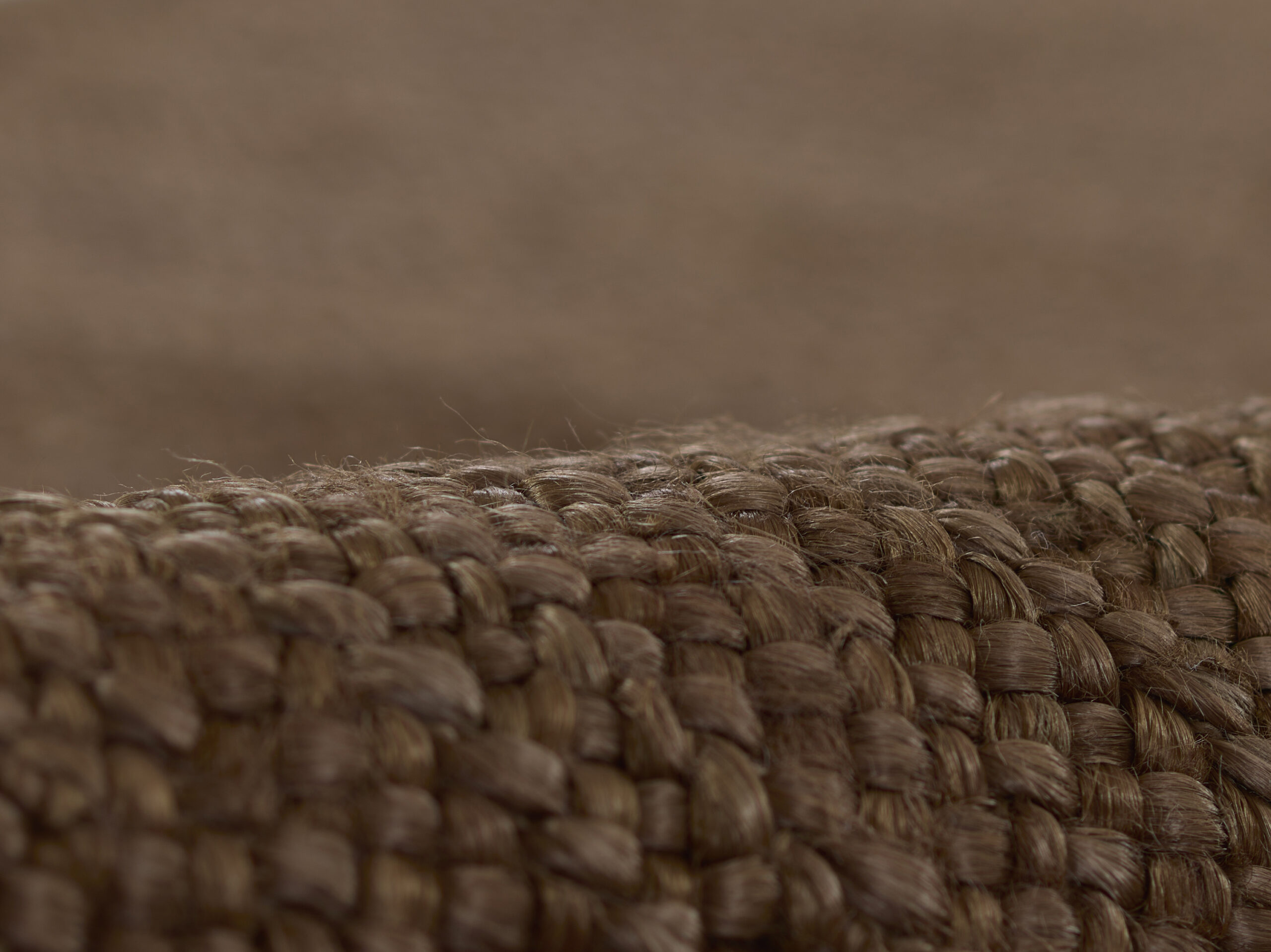 Pure Salt Cassis CIS-1 Walnut Area Rug - Image 4