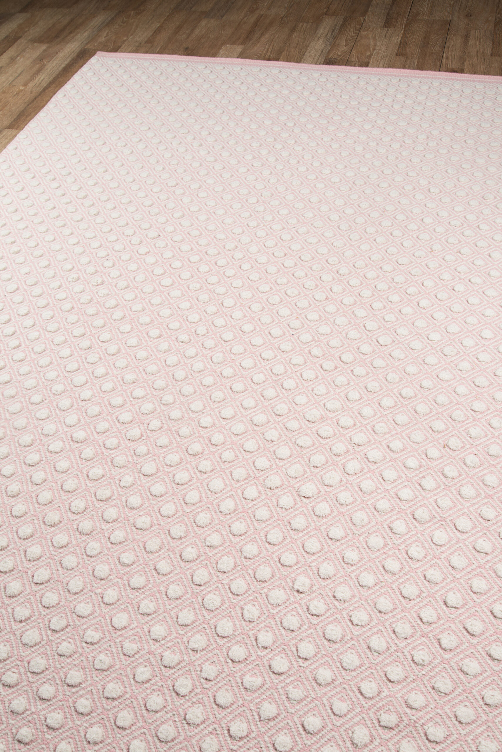 Erin Gates Langdon LGD-2 Pink Area Rug - Image 2