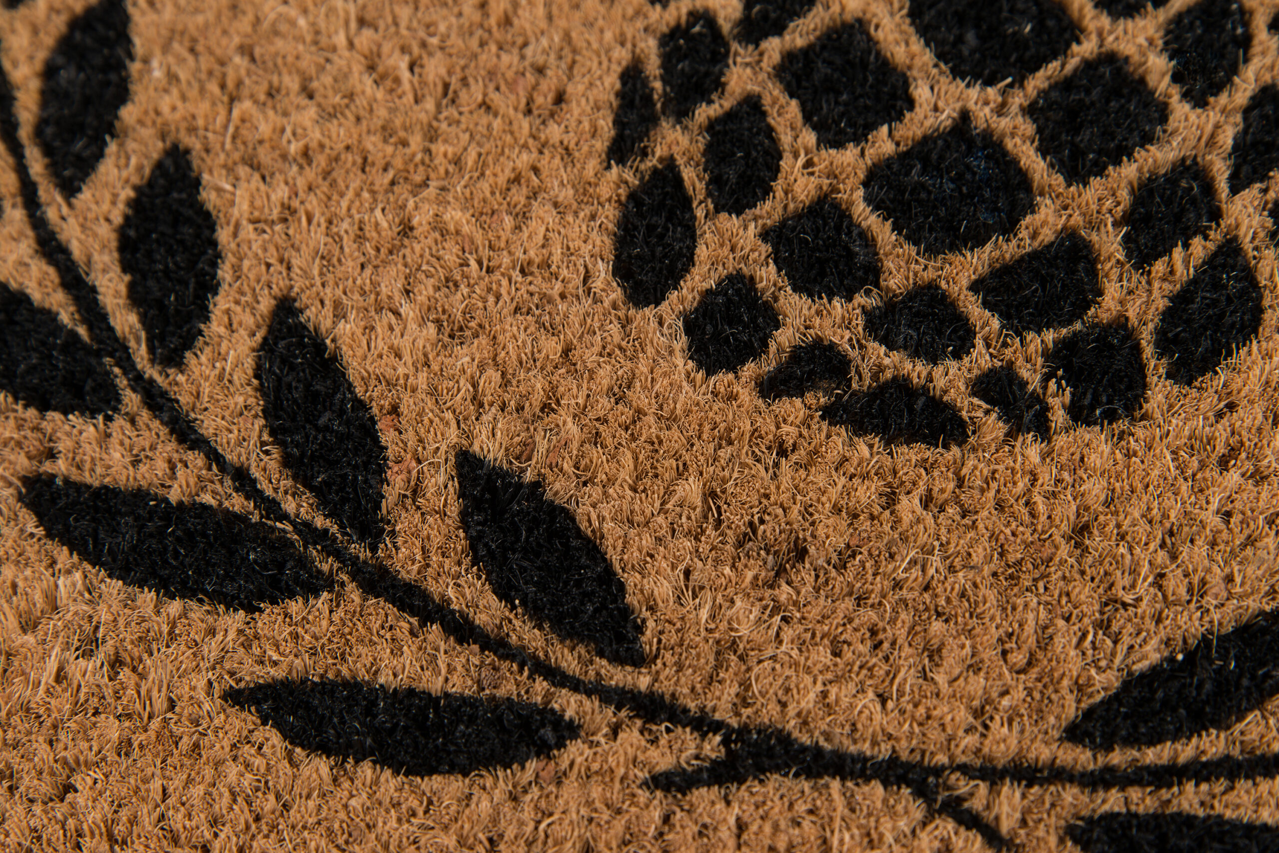 Erin Gates Park PAR-1 Black Area Rug - Image 3
