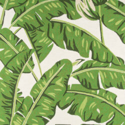 Momeni Veranda VR-62 Green Area Rug