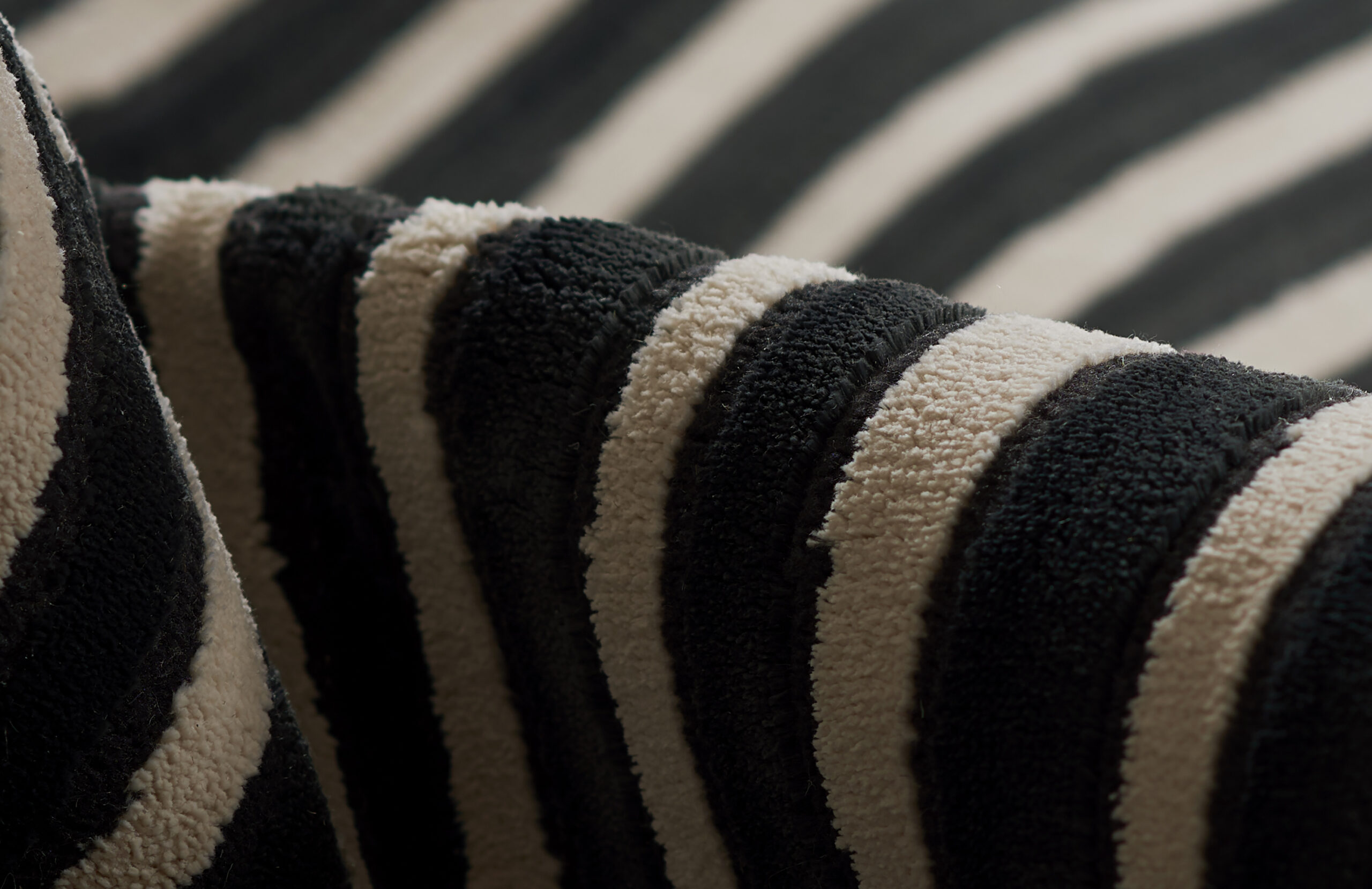Momeni Xander XAN-2 Black Area Rug - Image 4