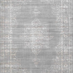 Radici USA Colosseo 3563/003 GREY Area Rug